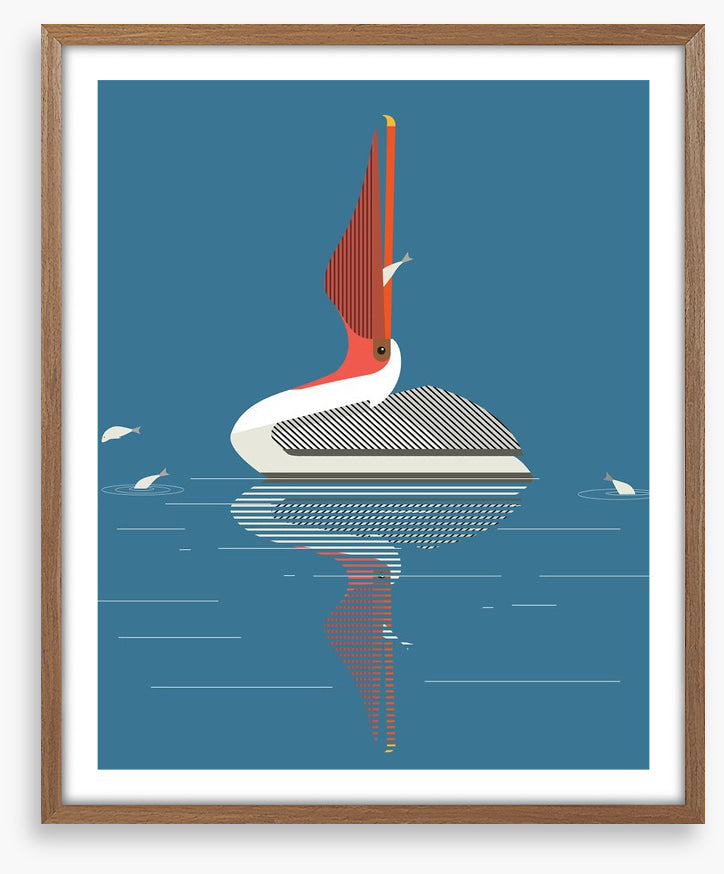 Pelican pleasure