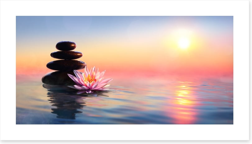 Waterlily sunset