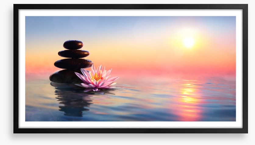 Waterlily sunset