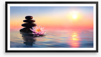 Waterlily sunset