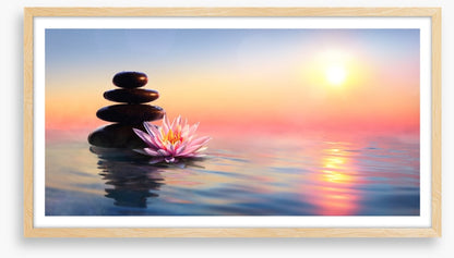 Waterlily sunset