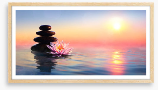 Waterlily sunset