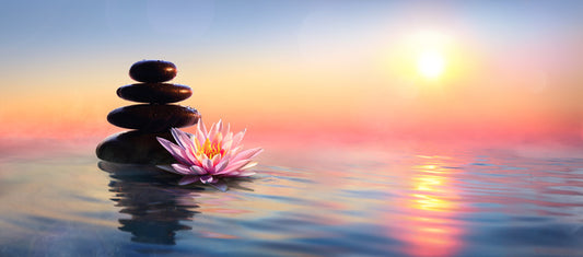 Waterlily sunset