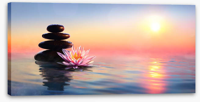 Waterlily sunset