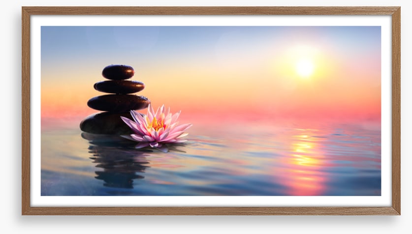 Waterlily sunset