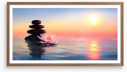 Waterlily sunset