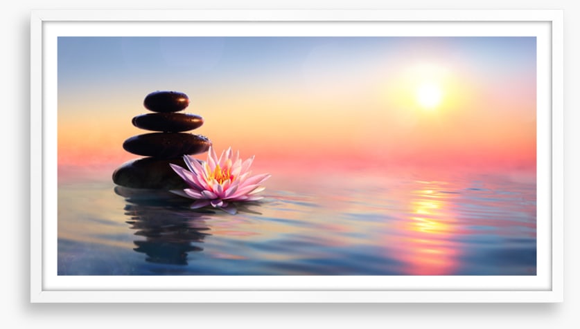 Waterlily sunset