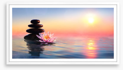 Waterlily sunset