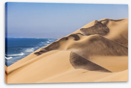 Namib sand sea