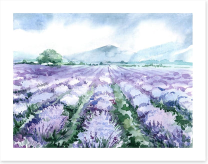 Lavandin aquarelle
