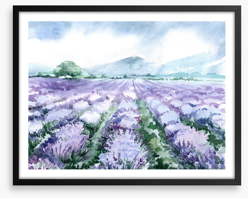 Lavandin aquarelle
