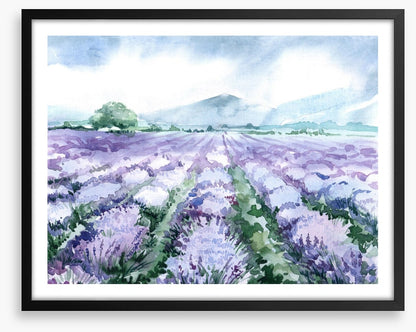 Lavandin aquarelle