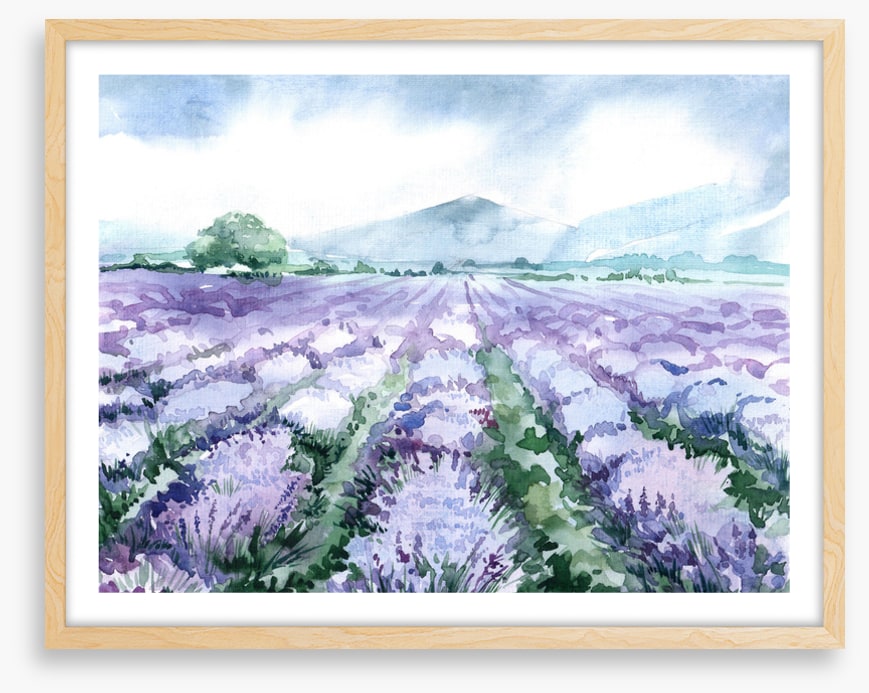 Lavandin aquarelle
