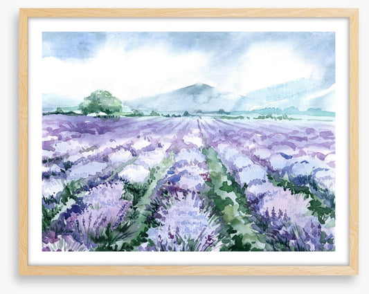 Lavandin aquarelle