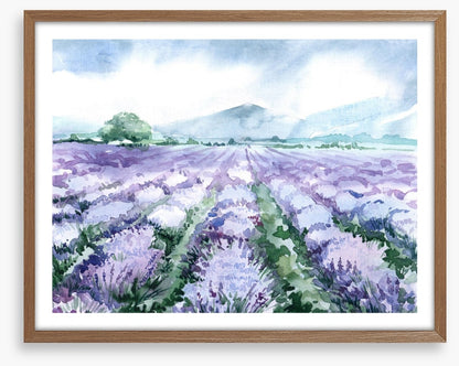 Lavandin aquarelle