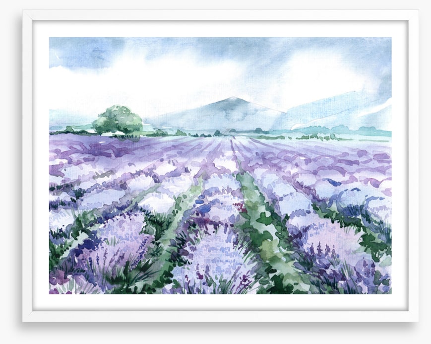 Lavandin aquarelle