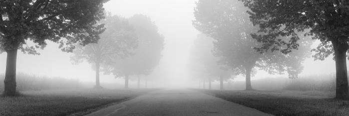 Into the mist