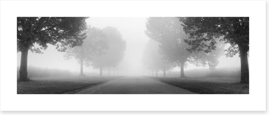 Into the mist