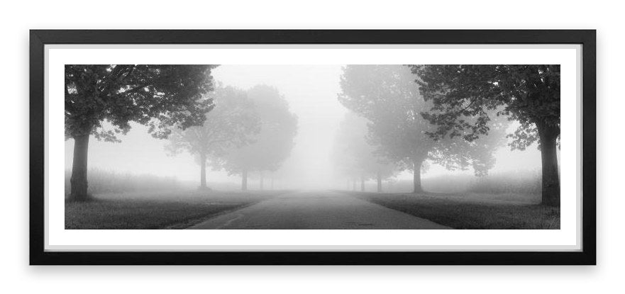 Into the mist