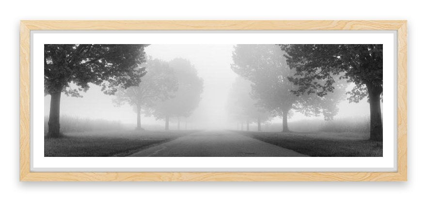 Into the mist