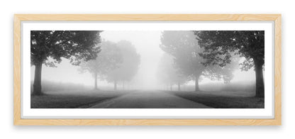 Into the mist