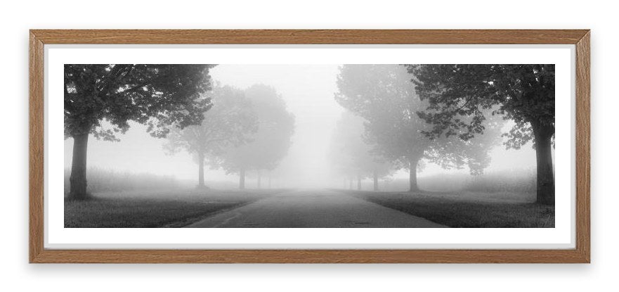 Into the mist