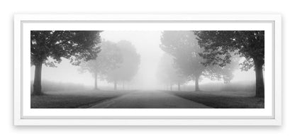 Into the mist