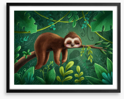 Sleepy the sloth