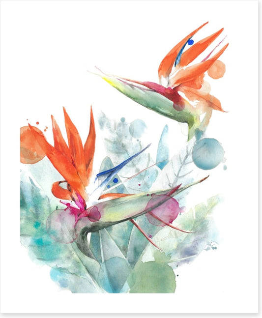 Paradise splash