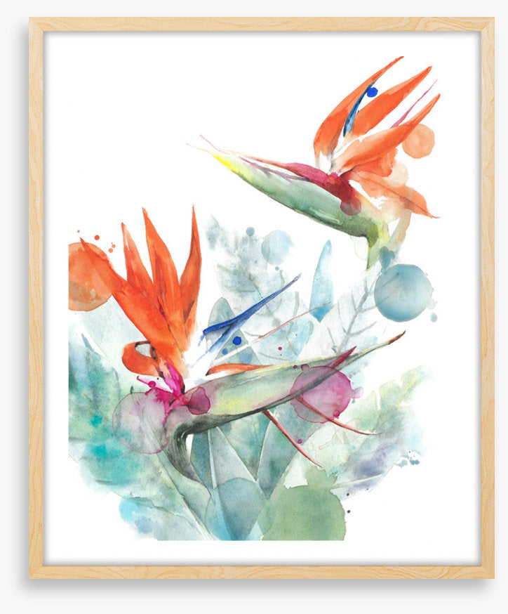 Paradise splash