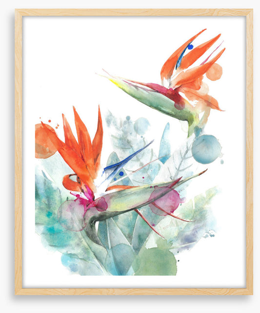 Paradise splash