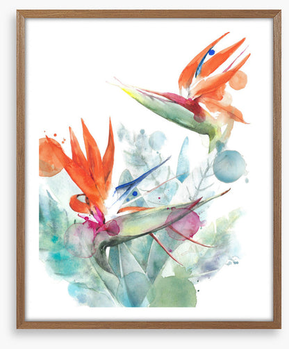 Paradise splash