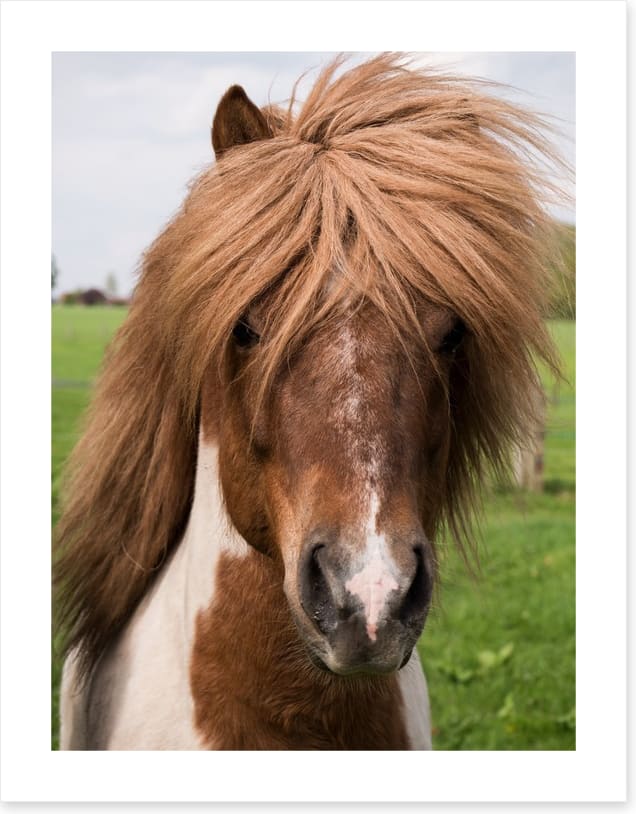 Straight from the salon