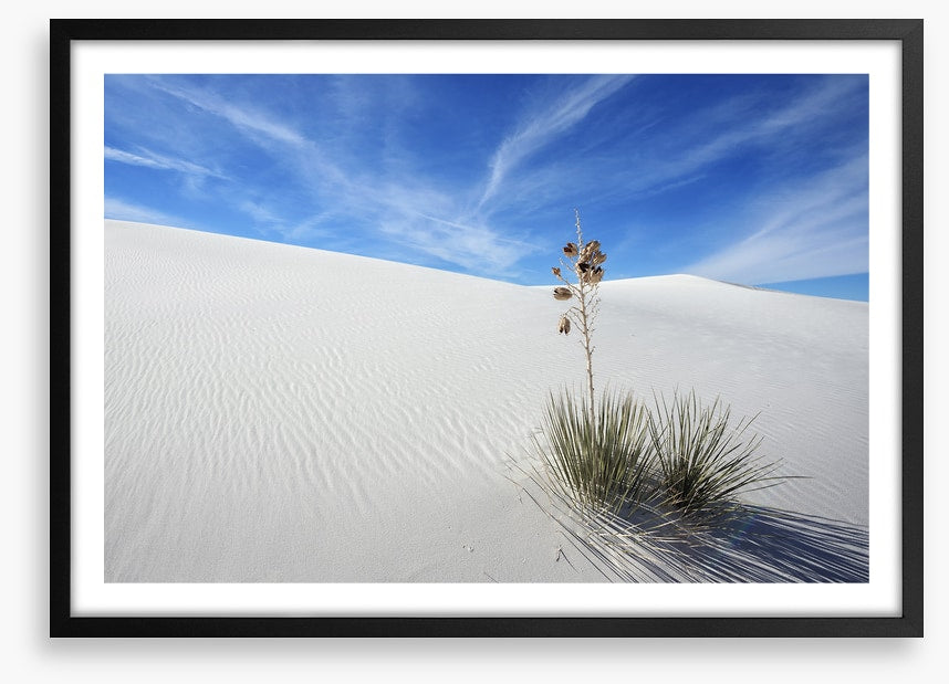 Desert