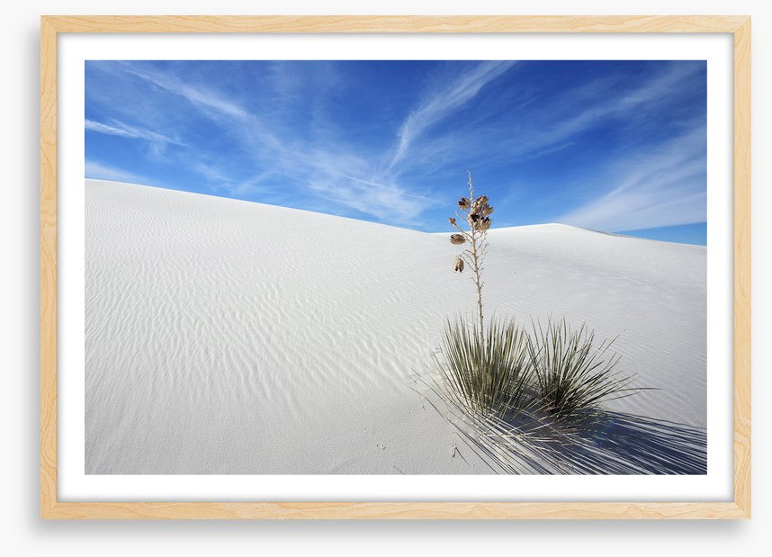 Desert