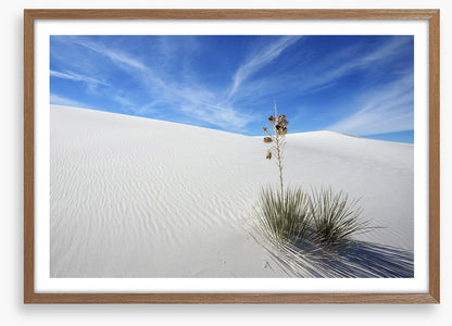 Desert