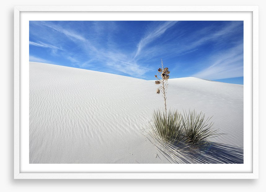 Desert