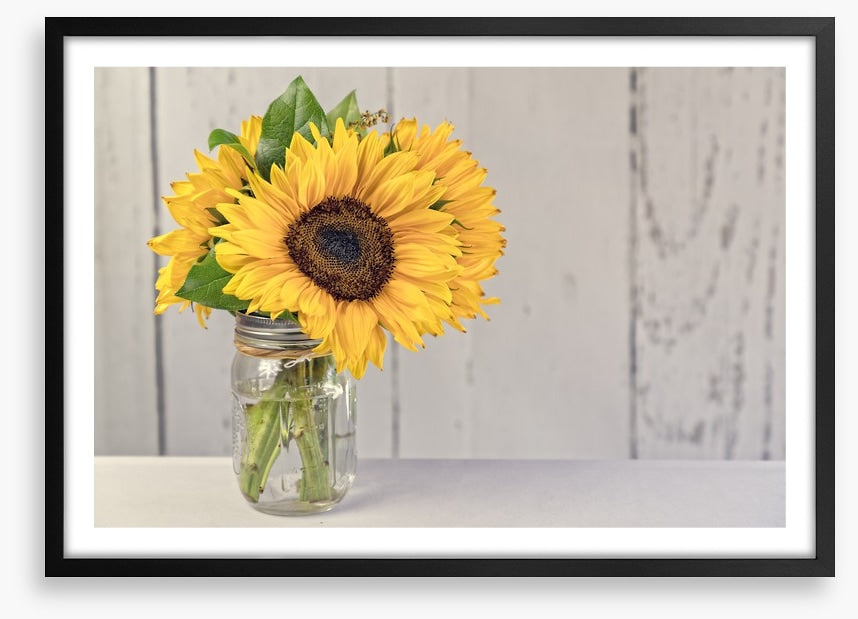 Sunflower simplicity