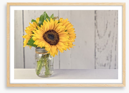 Sunflower simplicity