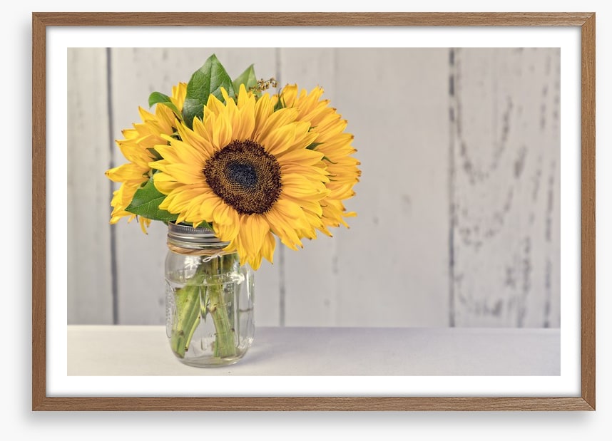 Sunflower simplicity