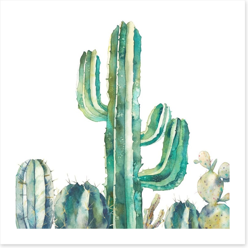 Saguaro standing tall