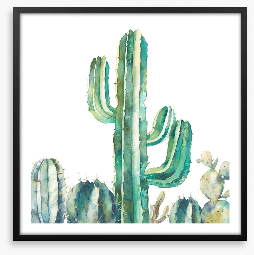 Saguaro standing tall