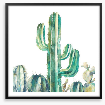 Saguaro standing tall