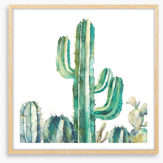 Saguaro standing tall