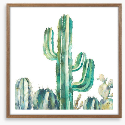Saguaro standing tall