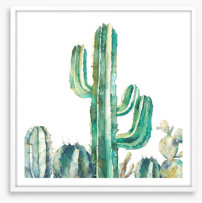 Saguaro standing tall