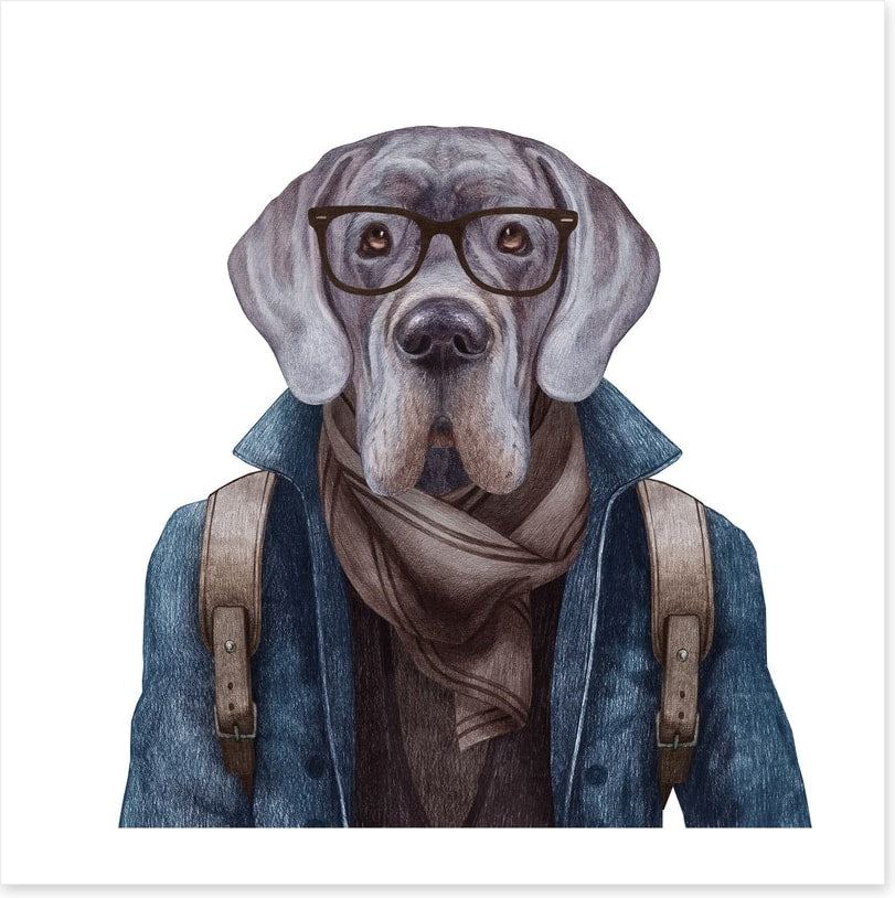 Hipster hound