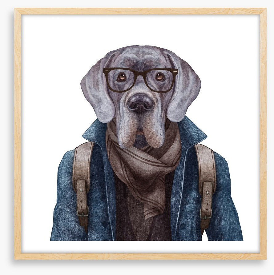 Hipster hound