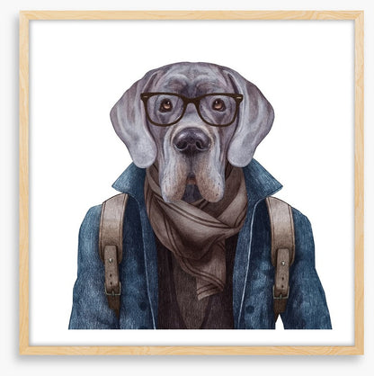 Hipster hound