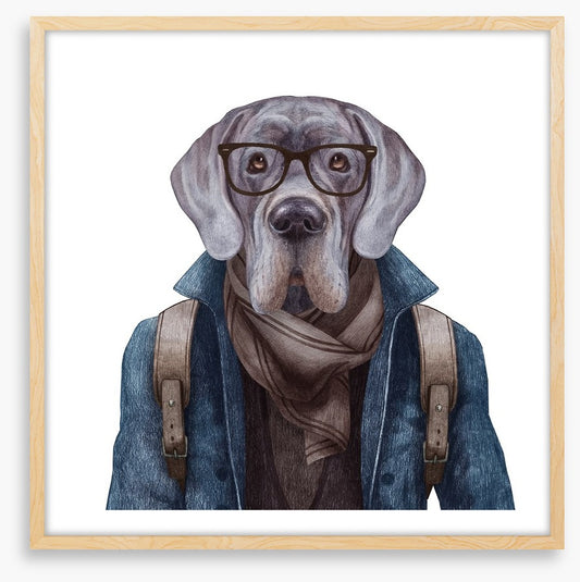 Hipster hound